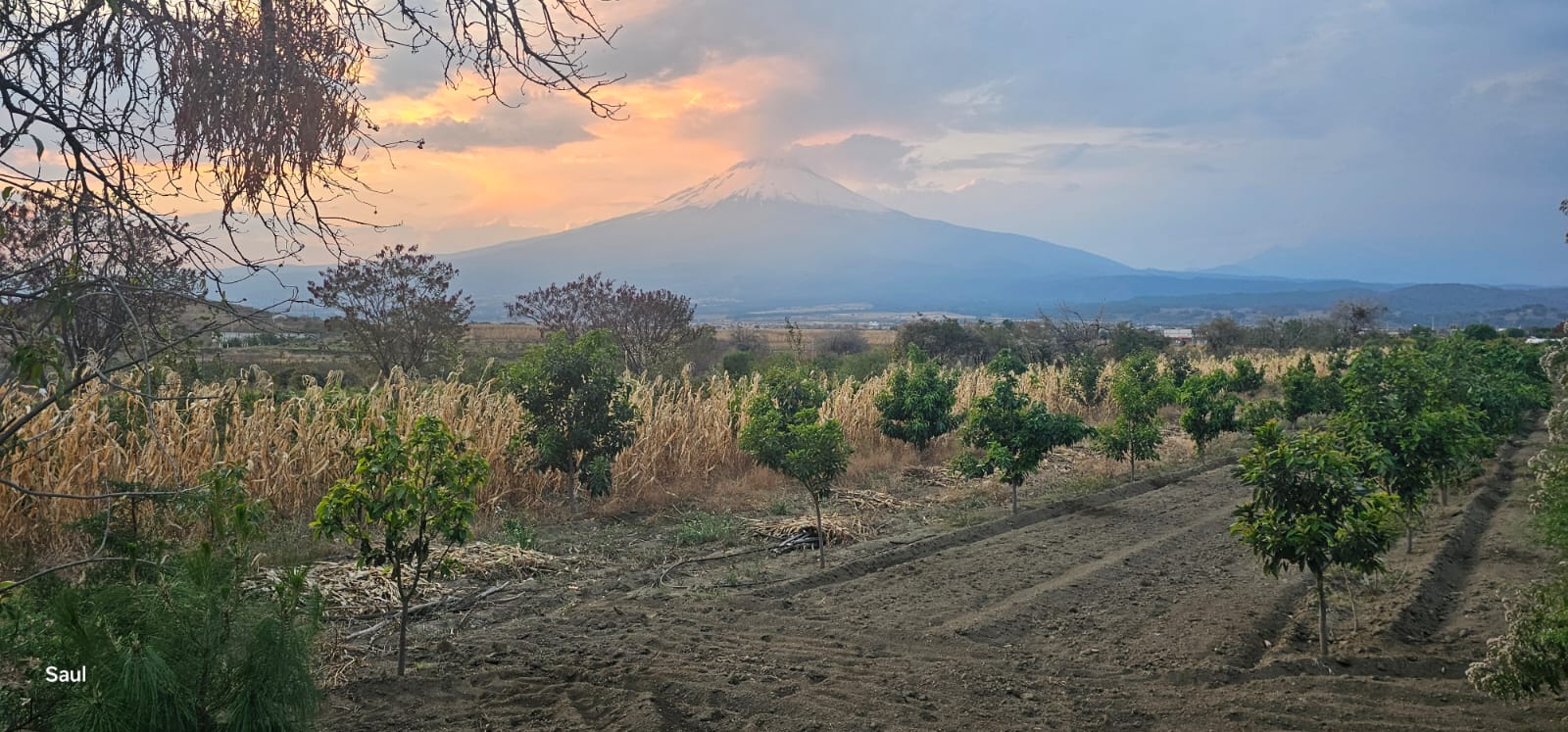 Vista de lote campestre 2