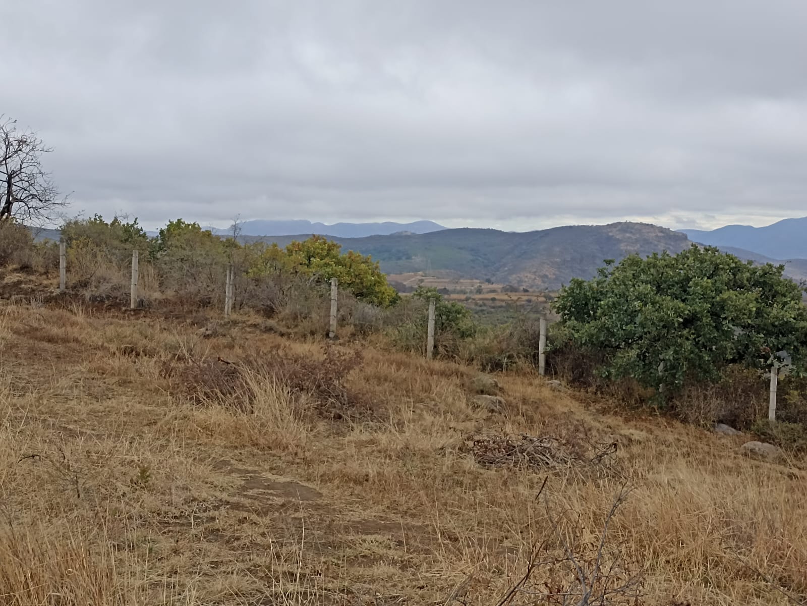 Vista de lote campestre 6
