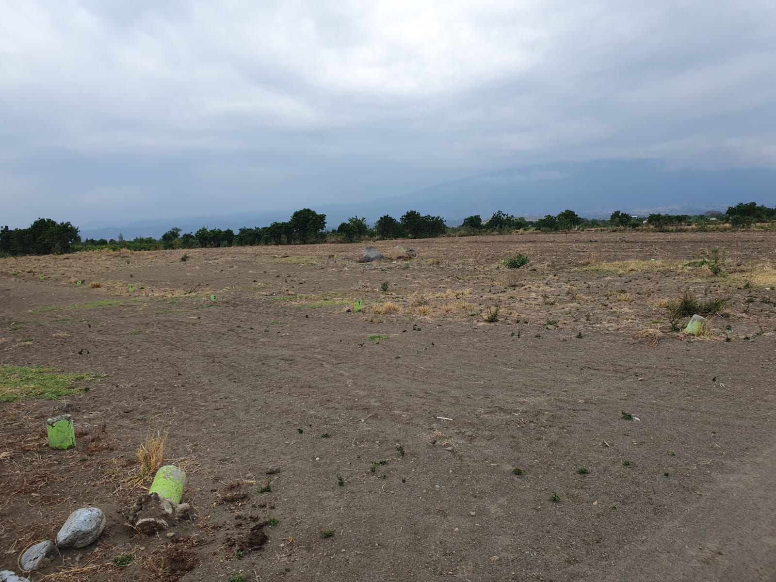 Vista de lote campestre 13